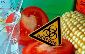 ГМО-лаборатории откроются в Украине