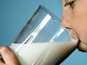 избыток молока приводит к заболеваниям