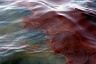 На Черноморском побережье Николаевской области обнаружен разлив нефтепродуктов