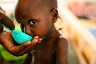 ООН: в 2013 году возможен глобальный кризис продовольствия