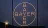 Новые члены IMEDA  корпорации Bayer HealthCare