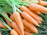Любимая диета. Кефир против моркови: взвешиваем и выбираем