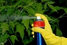 Как пестициды влияют на наш организм