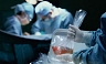 Надежда трансплантологии