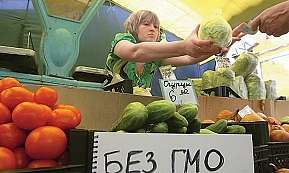 ГМО в России быть?