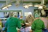 В Казахстане будет награжден человек, разрешивший пересадку органов своей умершей матери