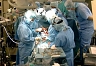 Тремя Американскими хирургами  проводятся благотворительные операции в России