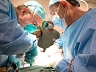 Российскими хирургами проведена операция по пересадке комплекса сердце-легкие