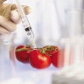 Чем нам могут угрожать ГМО?